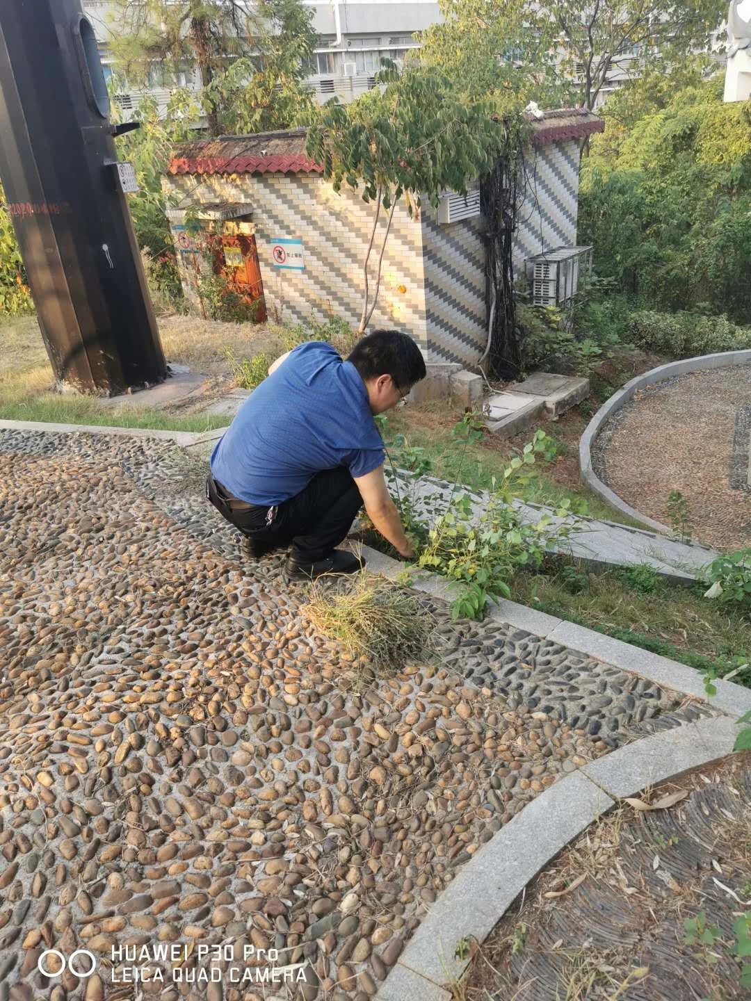 PA电子